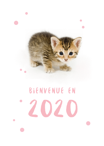 Cartes de voeux 2020 chats mignons : Envoyer une Carte de voeux 2020